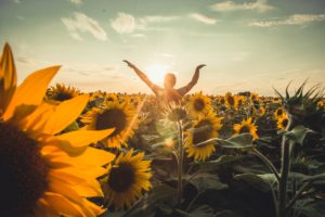 Spätsommer inmitten der Natur