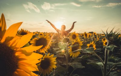 Spätsommer inmitten der Natur